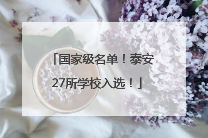 国家级名单！泰安27所学校入选！