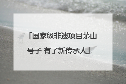 国家级非遗项目茅山号子 有了新传承人