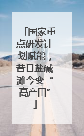 国家重点研发计划赋能，昔日盐碱滩今变“高产田”