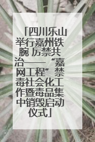 四川乐山举行嘉州铁腕 厉禁共治——“嘉网工程”禁毒社会化工作暨毒品集中销毁启动仪式