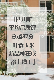 四川唯一平均品质评分超87分 鲜食玉米新品种在成都上线！