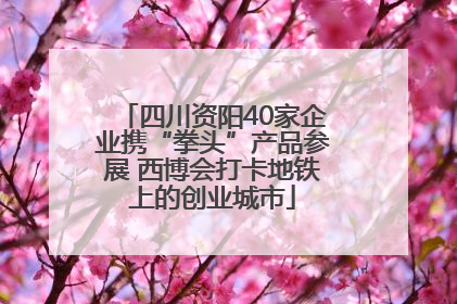 四川资阳40家企业携“拳头”产品参展 西博会打卡地铁上的创业城市