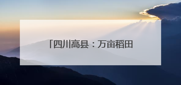 四川高县：万亩稻田绿意盎然 美景如画