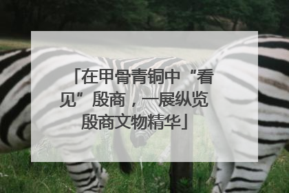 在甲骨青铜中“看见”殷商，一展纵览殷商文物精华