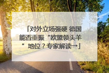 对外立场强硬 德国能否重振“欧盟领头羊”地位？专家解读→