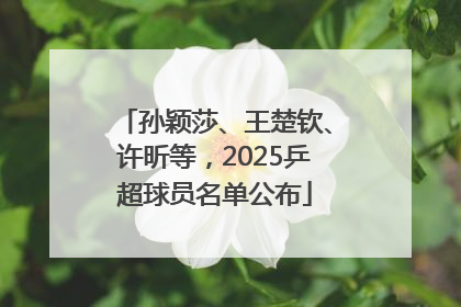 孙颖莎、王楚钦、许昕等，2025乒超球员名单公布