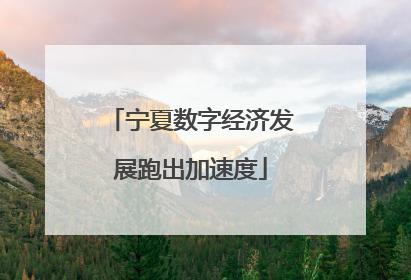 宁夏数字经济发展跑出加速度