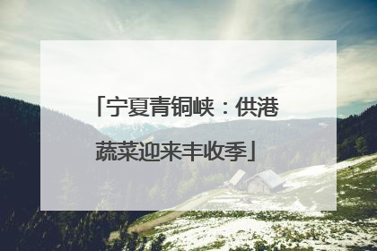 宁夏青铜峡：供港蔬菜迎来丰收季