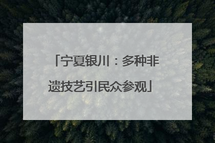 宁夏银川：多种非遗技艺引民众参观