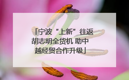 宁波“上新”往返胡志明全货机 助中越经贸合作升级