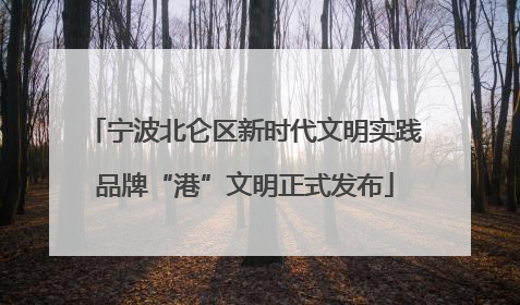 宁波北仑区新时代文明实践品牌“港”文明正式发布