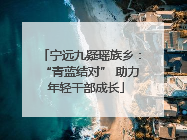 宁远九疑瑶族乡：“青蓝结对” 助力年轻干部成长