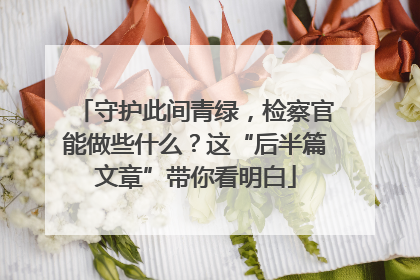 守护此间青绿，检察官能做些什么？这“后半篇文章”带你看明白