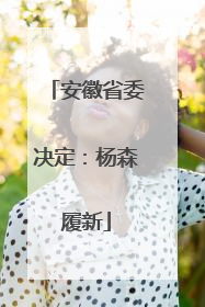 安徽省委决定：杨森履新