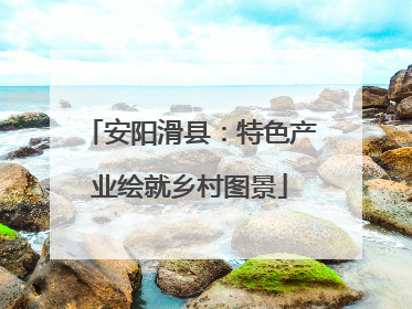 安阳滑县：特色产业绘就乡村图景