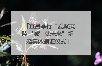 宜昌举行“爱聚夷陵‘城’就未来”新婚集体颁证仪式