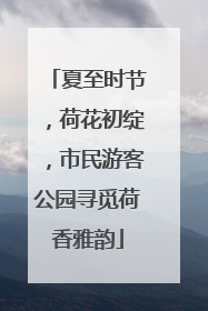 夏至时节，荷花初绽，市民游客公园寻觅荷香雅韵