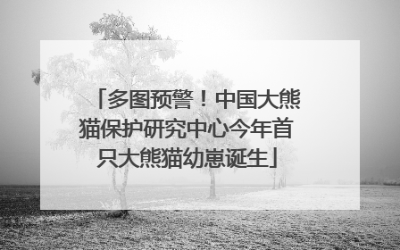 多图预警！中国大熊猫保护研究中心今年首只大熊猫幼崽诞生