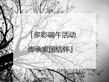 多彩端午活动 传承家国情怀