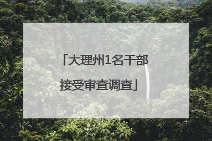 大理州1名干部接受审查调查