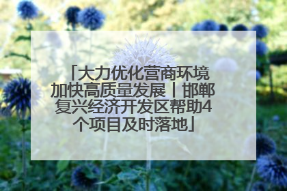 大力优化营商环境 加快高质量发展丨邯郸复兴经济开发区帮助4个项目及时落地