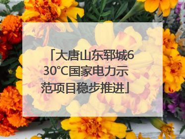 大唐山东郓城630℃国家电力示范项目稳步推进