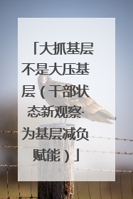 大抓基层不是大压基层（干部状态新观察·为基层减负赋能）