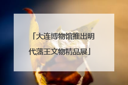 大连博物馆推出明代藩王文物精品展