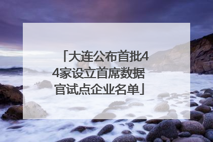 大连公布首批44家设立首席数据官试点企业名单