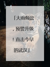 大雨倾盆，预警升级！直击今早的武汉
