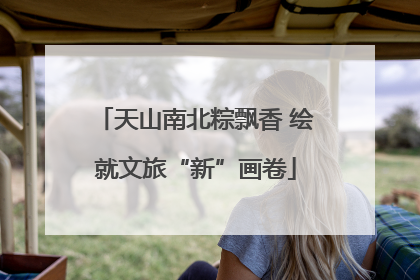 天山南北粽飘香 绘就文旅“新”画卷