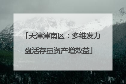天津津南区：多维发力盘活存量资产增效益