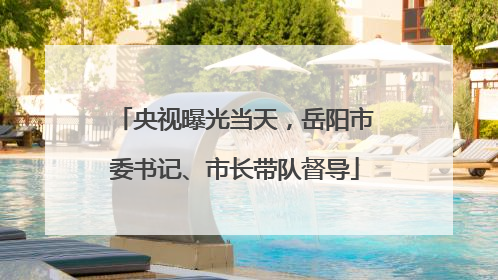 央视曝光当天，岳阳市委书记、市长带队督导