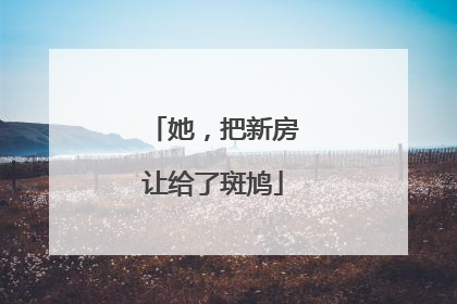 她，把新房让给了斑鸠