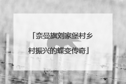 奈曼旗刘家堡村乡村振兴的蝶变传奇