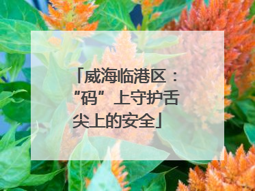 威海临港区：“码”上守护舌尖上的安全