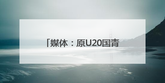 媒体：原U20国青主帅久尔杰维奇救火国足，带队征战东亚杯