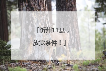 忻州11县，放宽条件！