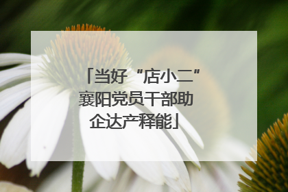 当好“店小二” 襄阳党员干部助企达产释能