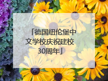 德国纽伦堡中文学校庆祝建校30周年