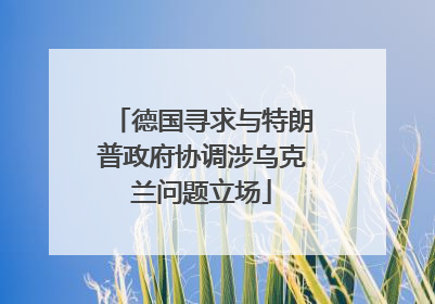 德国寻求与特朗普政府协调涉乌克兰问题立场