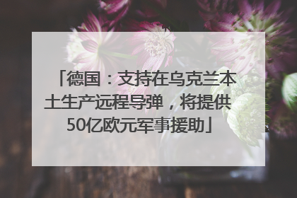 德国：支持在乌克兰本土生产远程导弹，将提供50亿欧元军事援助