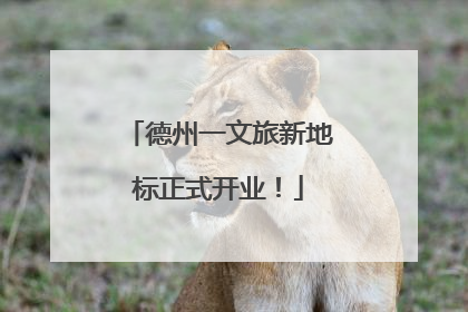 德州一文旅新地标正式开业！