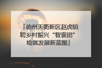 德州天衢新区赵虎镇聘乡村振兴“智囊团” 绘就发展新蓝图