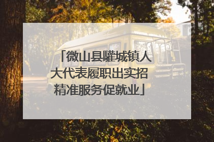 微山县驩城镇人大代表履职出实招精准服务促就业