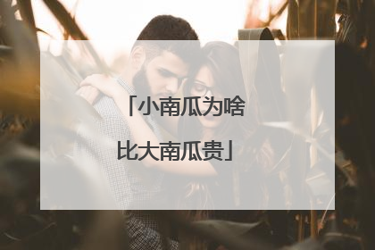 小南瓜为啥比大南瓜贵