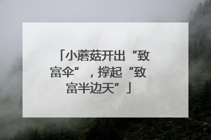 小蘑菇开出“致富伞”，撑起“致富半边天”