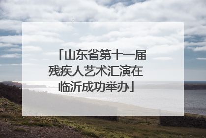 山东省第十一届残疾人艺术汇演在临沂成功举办