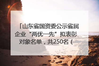 山东省国资委公示省属企业“两优一先”拟表彰对象名单，共250名（个）党员和党组织