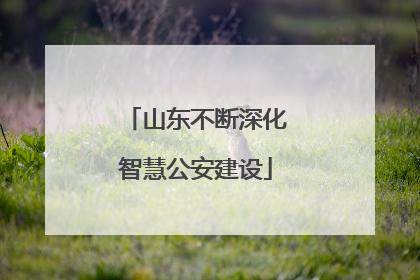 山东不断深化智慧公安建设